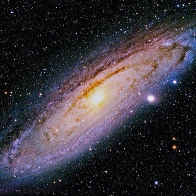 SmallStarNorth's profile picture