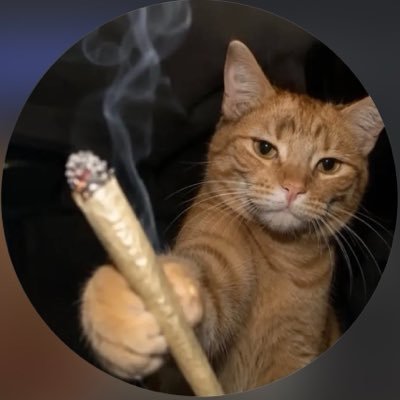 TrueNorth's profile picture