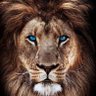academiclinkup.com's profile picture