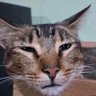 cumpli_31 profil fotoğrafı