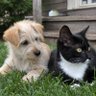Фото профиля Aww & LOL