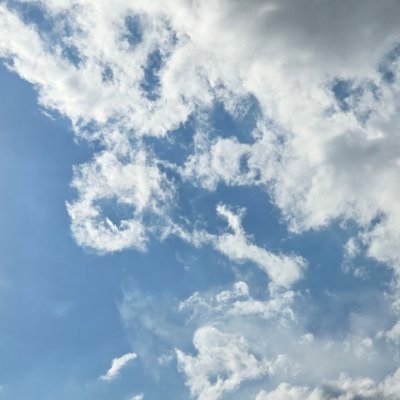 lacrudaverdad_'s profile picture