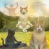Фото профиля random🧘🏼♀️
