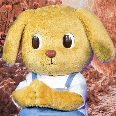 lisusuwi's profile picture