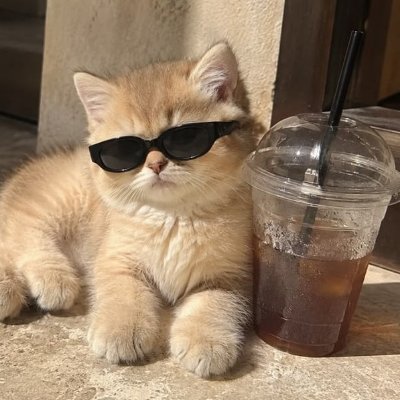 maitem_bath's profile picture