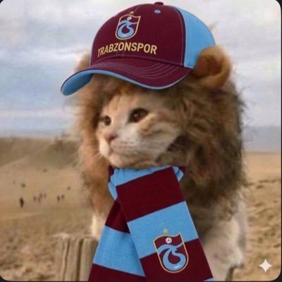 nwccxx's profile picture