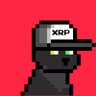 xrooge profil fotoğrafı