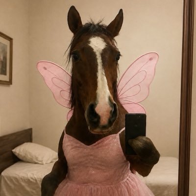 tabassomhdr's profile picture