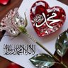 Profilbild von عادل سعد عبد التواب