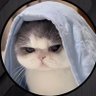 Profilbild von aisah ikram