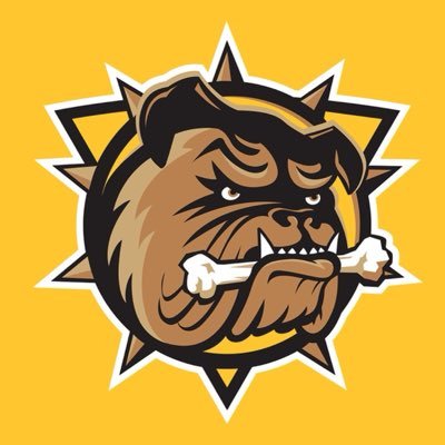 BulldogsOHL's profile picture