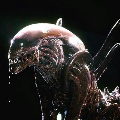 hickey's profile picture