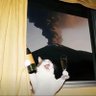 Colin. profil fotoğrafı