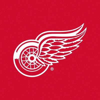 Detroit Red Wings's profile picture