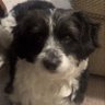 Profilbild von torinhuisman@gmail.com