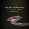 Profilbild von Proud Alur