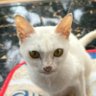 Matsy Elric profil fotoğrafı
