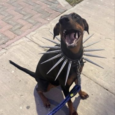 el_keto_666's profile picture