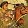 gezgin's profile picture