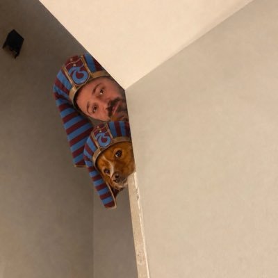 Erdem's profile picture