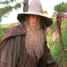 gandalf the grey 的头像