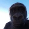 Morz profil fotoğrafı