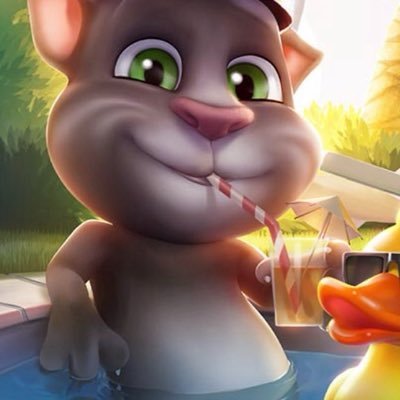 zajcinsolu's profile picture