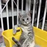 Saka 的头像