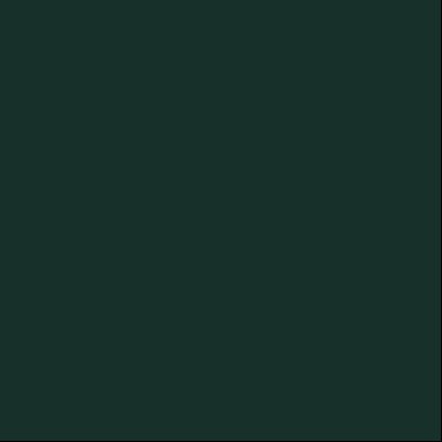 ahmadberadi's profile picture