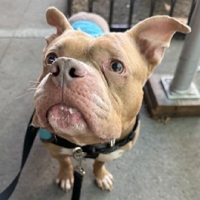 NMBewitched's profile picture