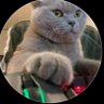 RyZe's profile picture