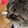 大澤宏 profil fotoğrafı