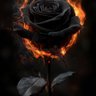 Фото профиля Kahlyssa Rose 🖤🖤🖤