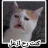 Profilbild von سند العلي