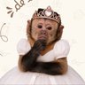 Erika's profile picture