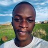 Profilbild von Victor Shallangwa 🦀