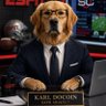 Фото профиля Karl Docoin, CPA