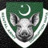 Asifa mubeen's profile picture