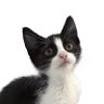 Profilbild von zeynep