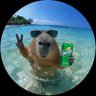 Profilbild von Agne