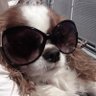 bi's profile picture