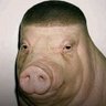 RealWigga profil fotoğrafı