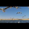 Select Hasnaa X0; profil fotoğrafı