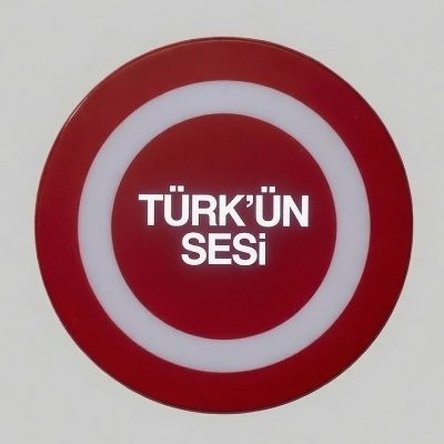 Türk'ün Sesi ☪︎'s profile picture