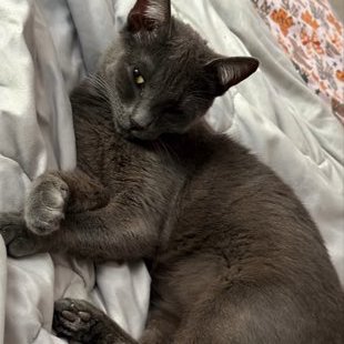 extrasadspice's profile picture