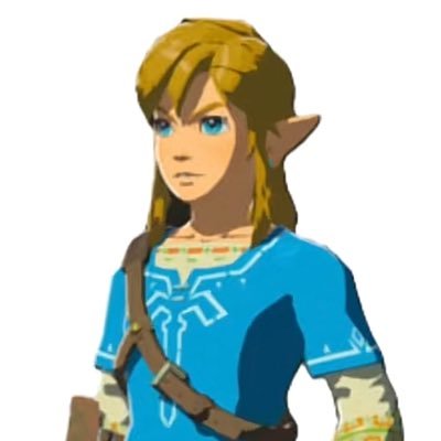 link's profile picture