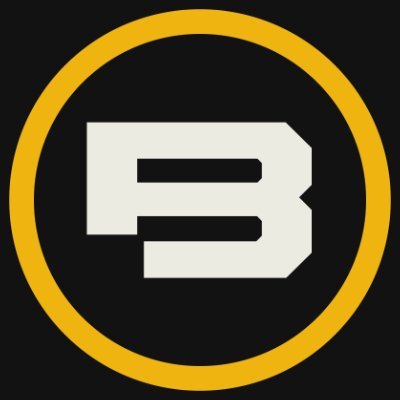 BigfryTV's profile picture