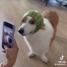 Profilbild von math