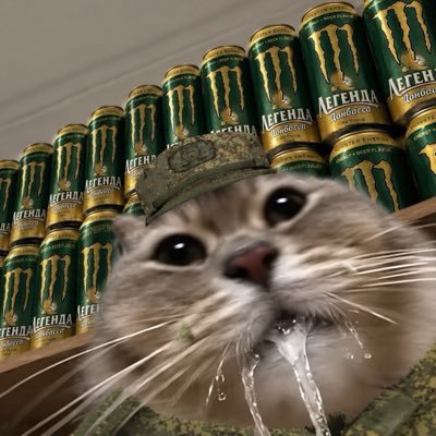 _kabibara_'s profile picture