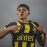 Pucho 🚬's profile picture
